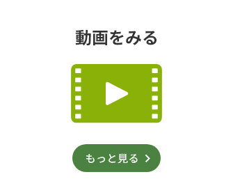 動画を見る