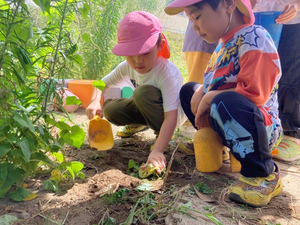 Gakkenほいくえん花小金井の様子