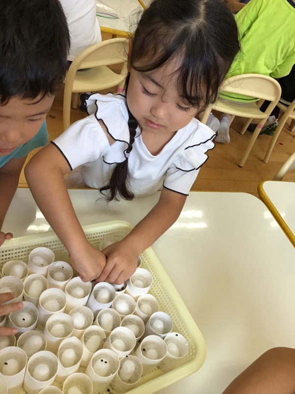 こびとのもり保育園の様子
