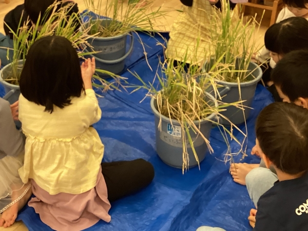 グローバルキッズ東新小岩園の様子