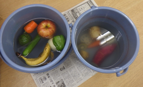 ピノキオ幼児舎番町園