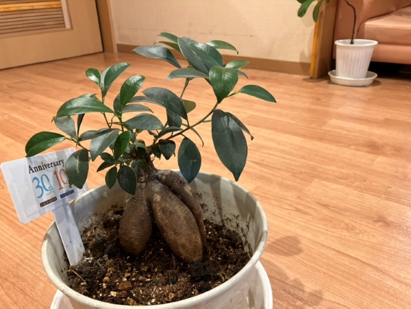 ベネッセ四ツ木保育園