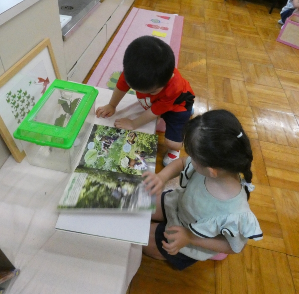 台東区立清島幼稚園の様子