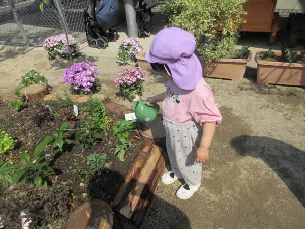 宮園保育園の様子