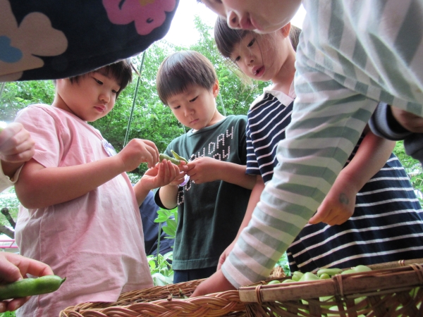 新宿区立西戸山幼稚園の様子