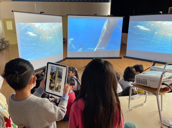 杉の子育英幼稚園