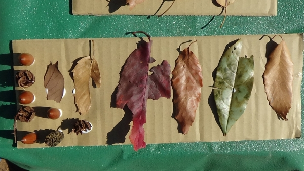 江東区亀戸第二保育園の様子