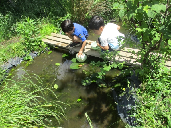 江東区立つばめ幼稚園