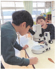 江東区立南陽幼稚園