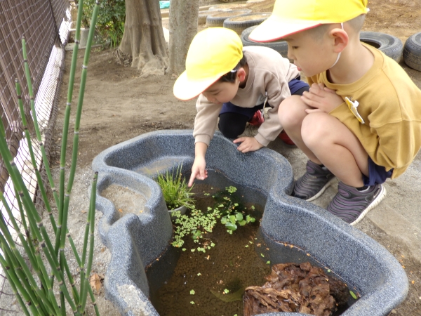 江東区立枝川幼稚園