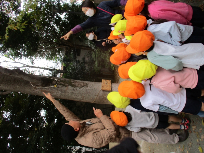 港区立白金台幼稚園の様子