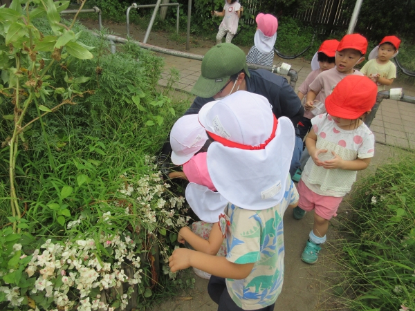 玉成幼稚園の様子