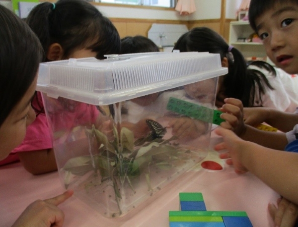 簡野学園ふぞく六郷保育園の様子