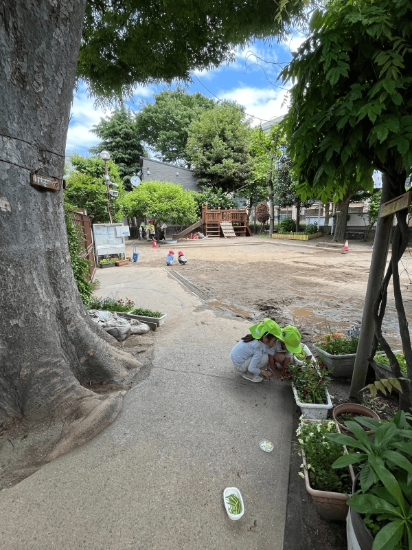 駒場幼稚園の様子