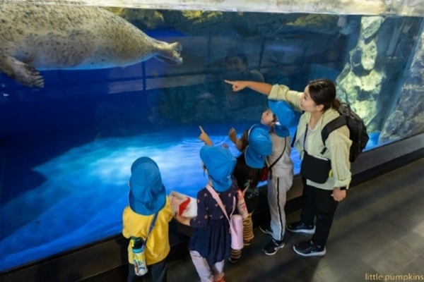 高円寺りとるぱんぷきんず