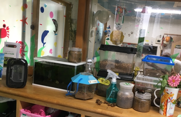 龍の子保育室の様子