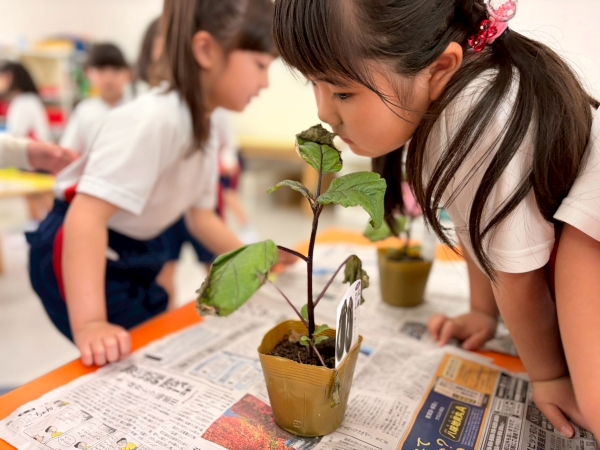 なぎさ幼稚園