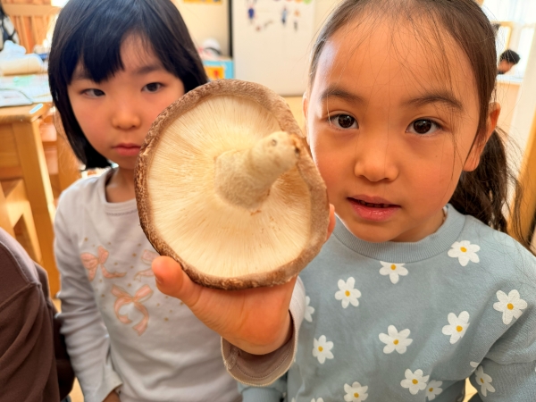 にじいろ保育園南田中