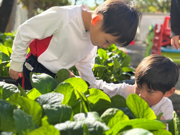 江戸川幼稚園
